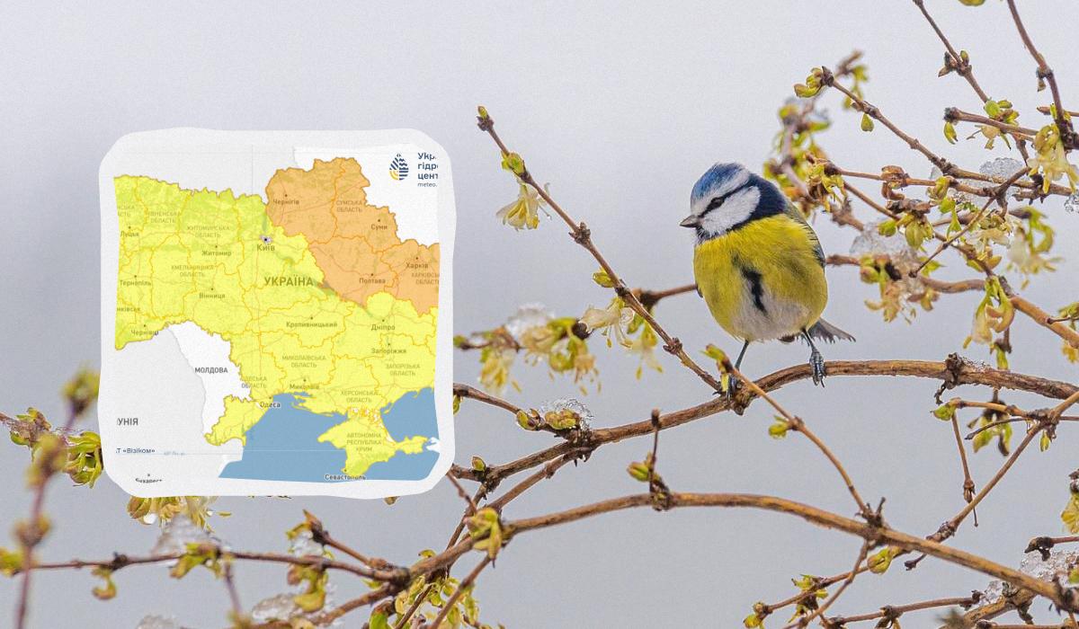 До -3&deg; вже цієї ночі: де в Україні очікується найбільший холод (карта)