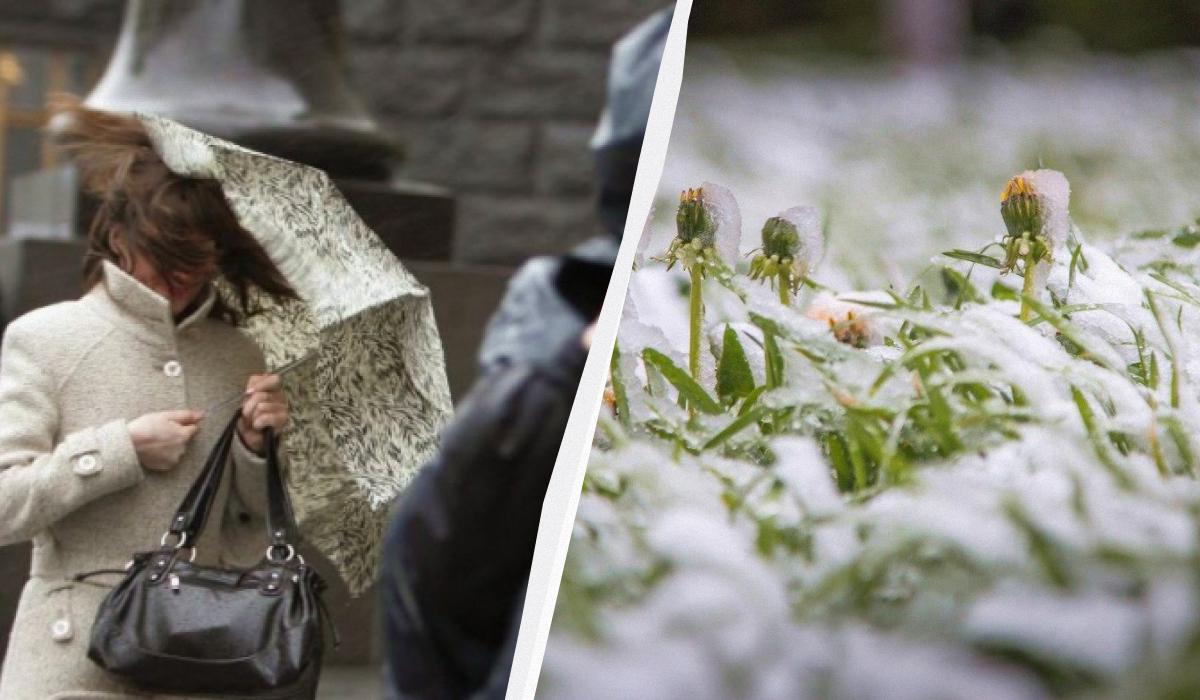 Холодний атмосферний фронт погіршить погодні умови в Україні вже завтра, повідомила синоптикиня Діденко. 1 Холодний атмосферний фронт зіпсує погоду в Україні вже завтра, - синоптикиня Діденко