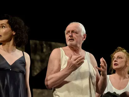 Коли божевілля стає нормою - прем’єра Санаторійної зони в театрі Лесі Українки - фоторепортаж 25