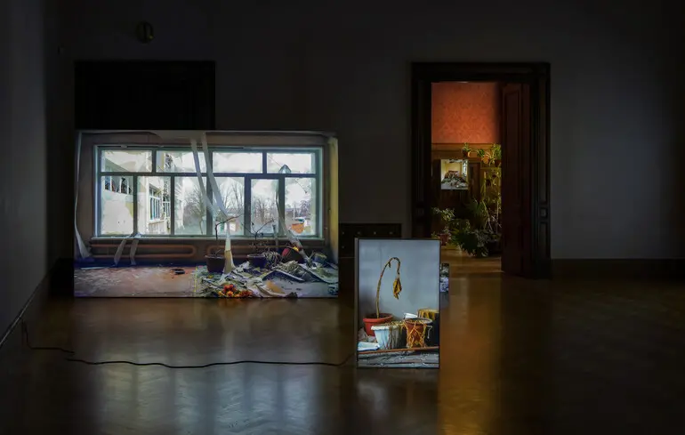 На Венеційській бієнале 2026 представлять український проєкт Still Joy - дослідження теми радості як сили людяності - новини культури 1