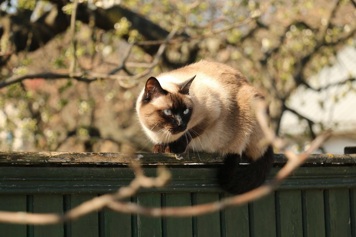 Перед вихідними погодні умови в Україні, нарешті, почнуть поліпшуватися. 1 Напередодні вихідних погода в Україні нарешті почне покращуватися