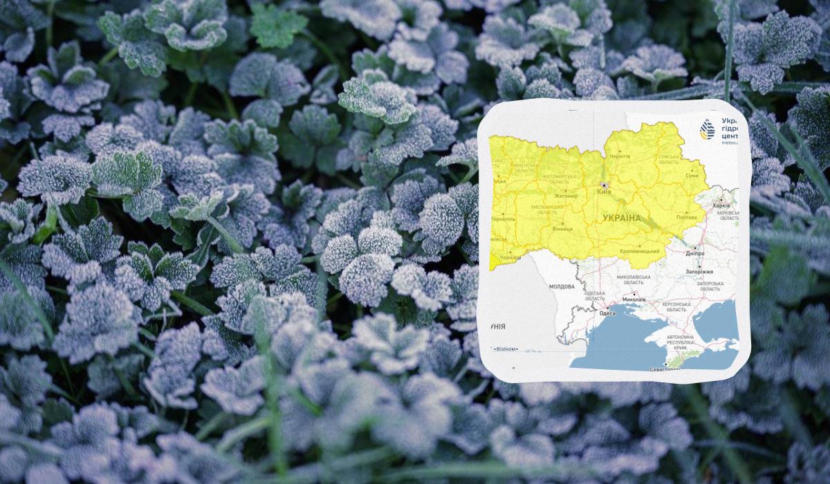 Небезпечні заморозки накриють Україну вже цієї ночі: температура впаде до -3&deg; (карта)