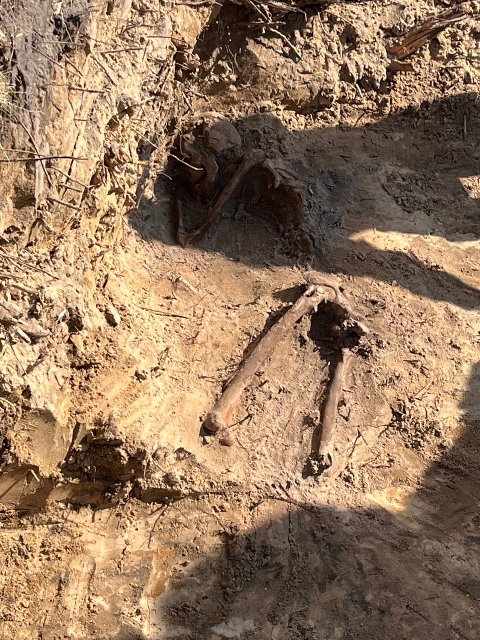 Розкопки в селі Угли: Кароліна Романовська про пошуки масових поховань. 4