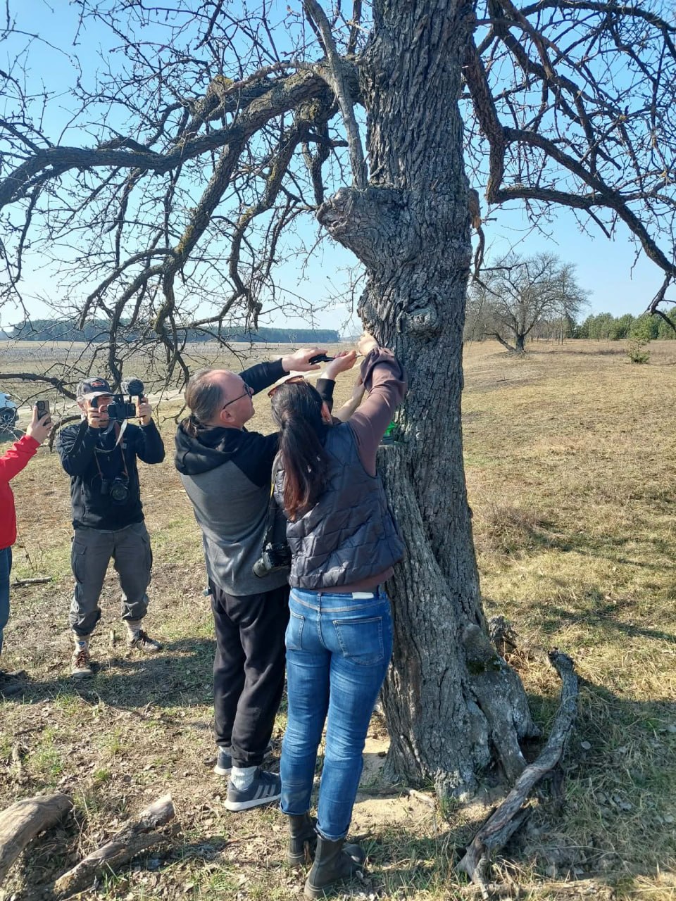 Розкопки в селі Угли: Кароліна Романовська про пошуки масових поховань. 7