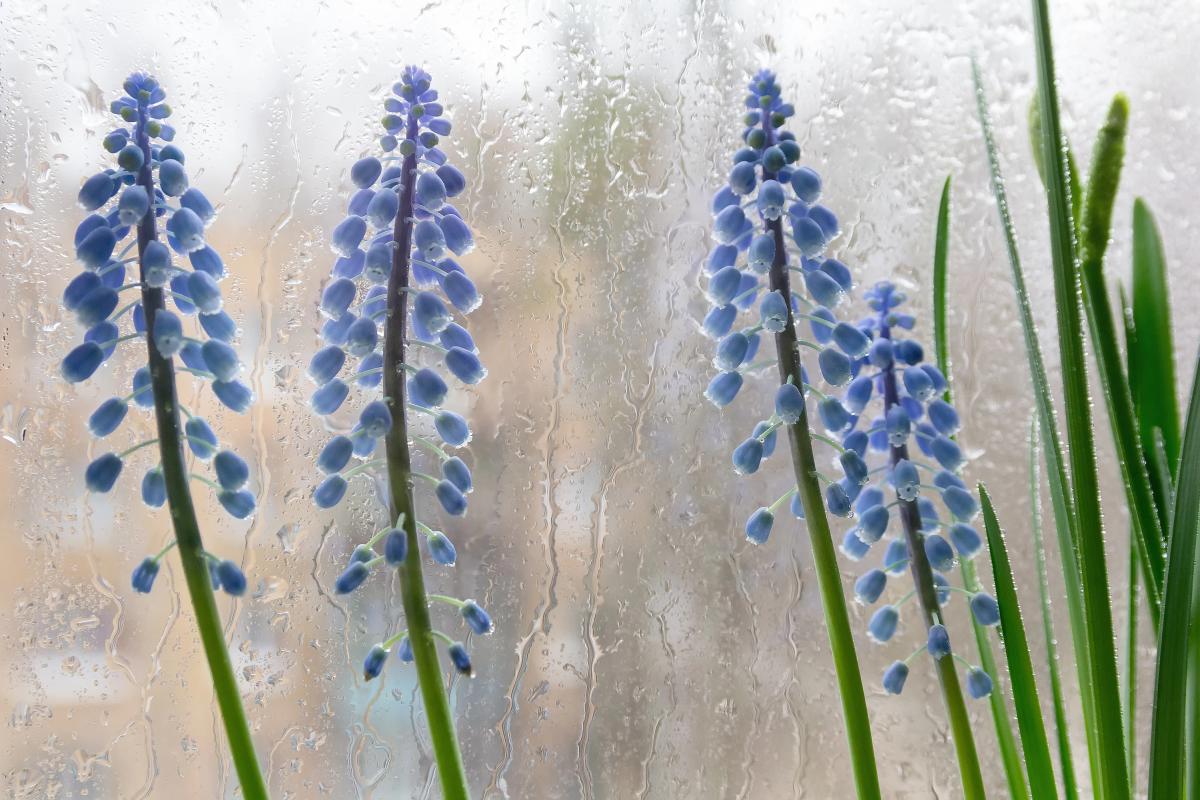 Синоптик розказав, яка погода буде в Україні у перші дні квітня