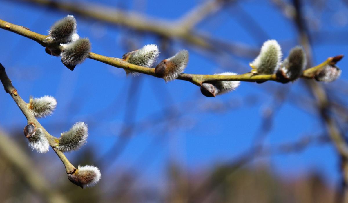 Синоптик повідомив, коли в Україні очікується поліпшення погодних умов. 1 Синоптик розказав, коли погода в Україні покращиться