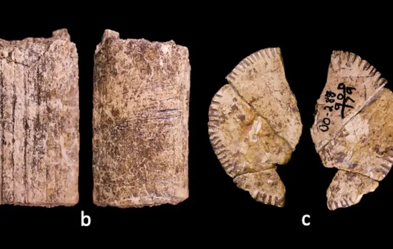 У США вчені виявили найстаріші гральні кості у світі, що стало несподіваним відкриттям. 1