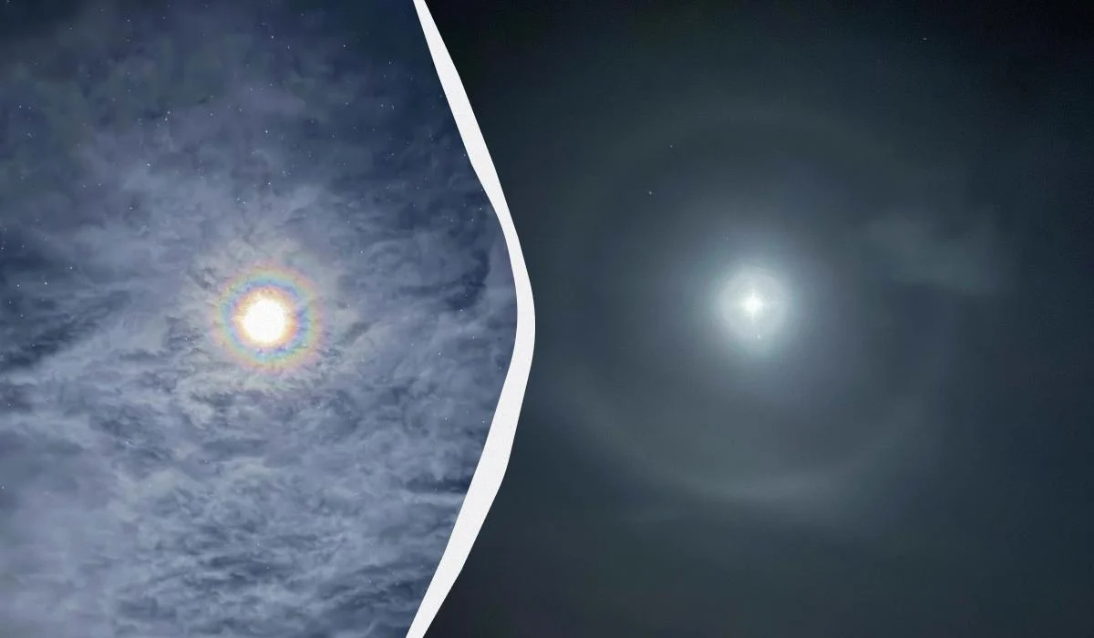 Українські полярники зняли неймовірне явище в Антарктиці (фото)