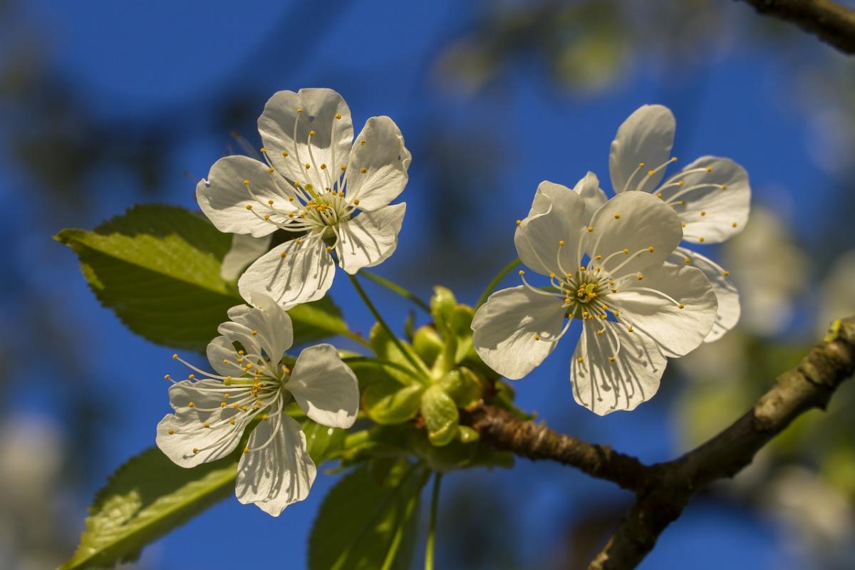 Україну розігріє до +22&deg;: синоптик розказав, коли прийде довгоочікуване тепло