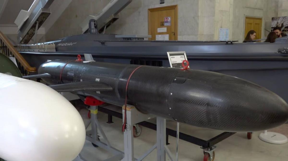В України зʼявилася нова ракета-дрон Areion