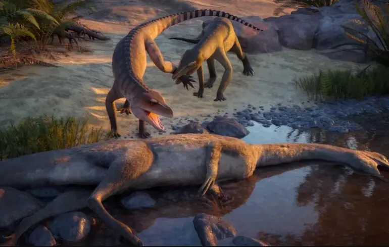 Вчені представили новий вид викопного крокодила, який, за їхніми даними, полював на суші. Дослідники опублікували фотографії цієї тварини. Вчені представили новий вид викопного крокодила, який, за їхніми даними, полював на суші. Дослідники опублікували фотографії цієї тварини. 1