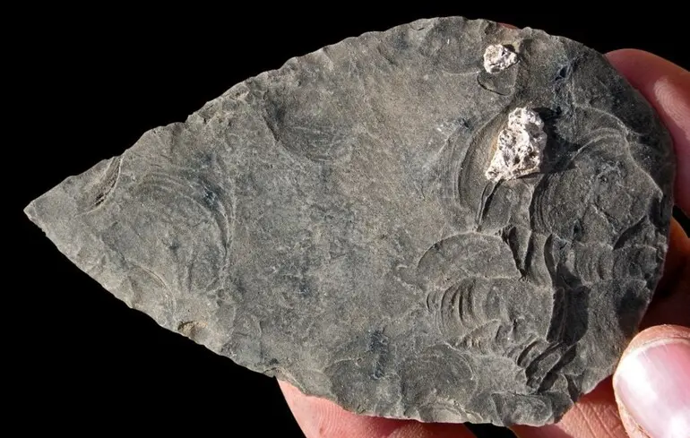 Вчені виявили в Африці залишки трьох осіб та артефакти, що дозволяють краще зрозуміти, як жили давні люди 100 тисяч років тому. 1