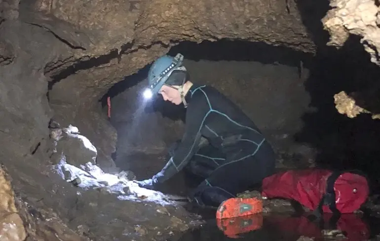 Вчені виявили залишки втраченого екосистеми в США, серед яких були гігантський броненосець та наземний лінивець. 1