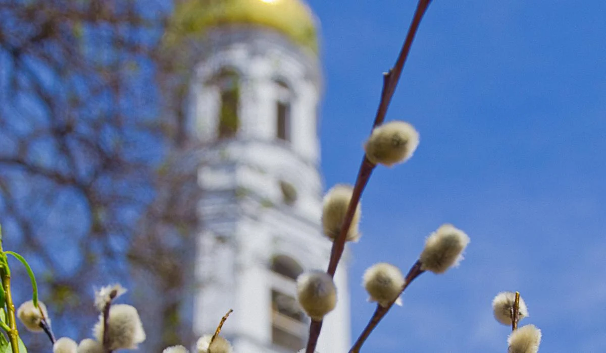 Вербна неділя принесе українцям сприятливі погодні умови: прогноз на 5 квітня. 1 Вербна неділя порадує українців погодою: прогноз на 5 квітня