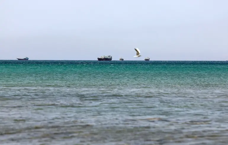 Відновлення судноплавства в Ормузькій протоці - Південна Корея займається евакуацією своїх кораблів з цієї акваторії. 1