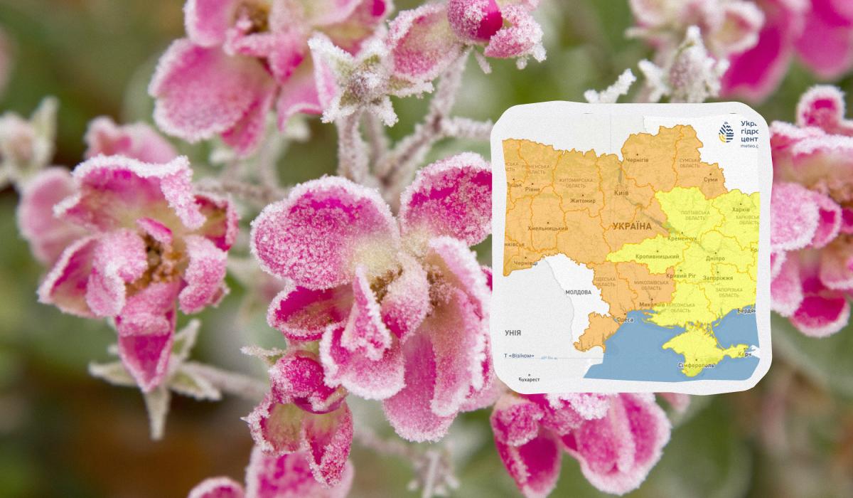 Заморозки атакують Україну ще не одну ніч: синоптики попереджають про небезпеку (карта)