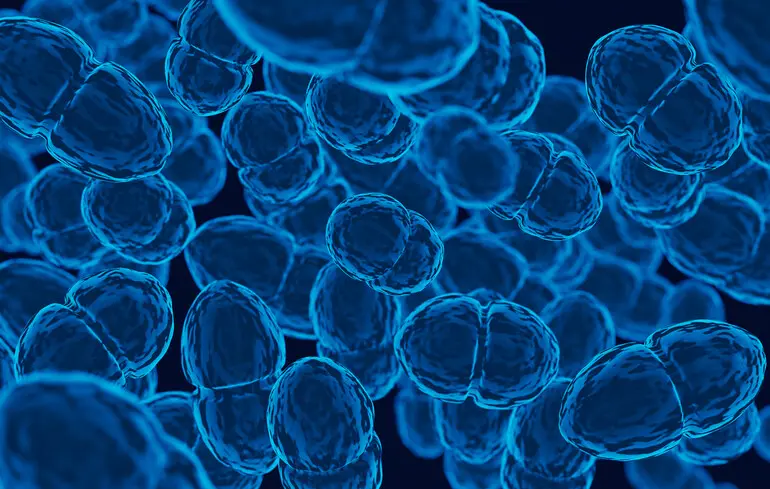 Жінка одужала від трьох аутоімунних хвороб - які дії вжили медики. 1