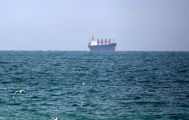 Морський коридор України забезпечив перевезення 197 мільйонів тонн вантажів, з яких 117 мільйонів тонн становить зерно. 1